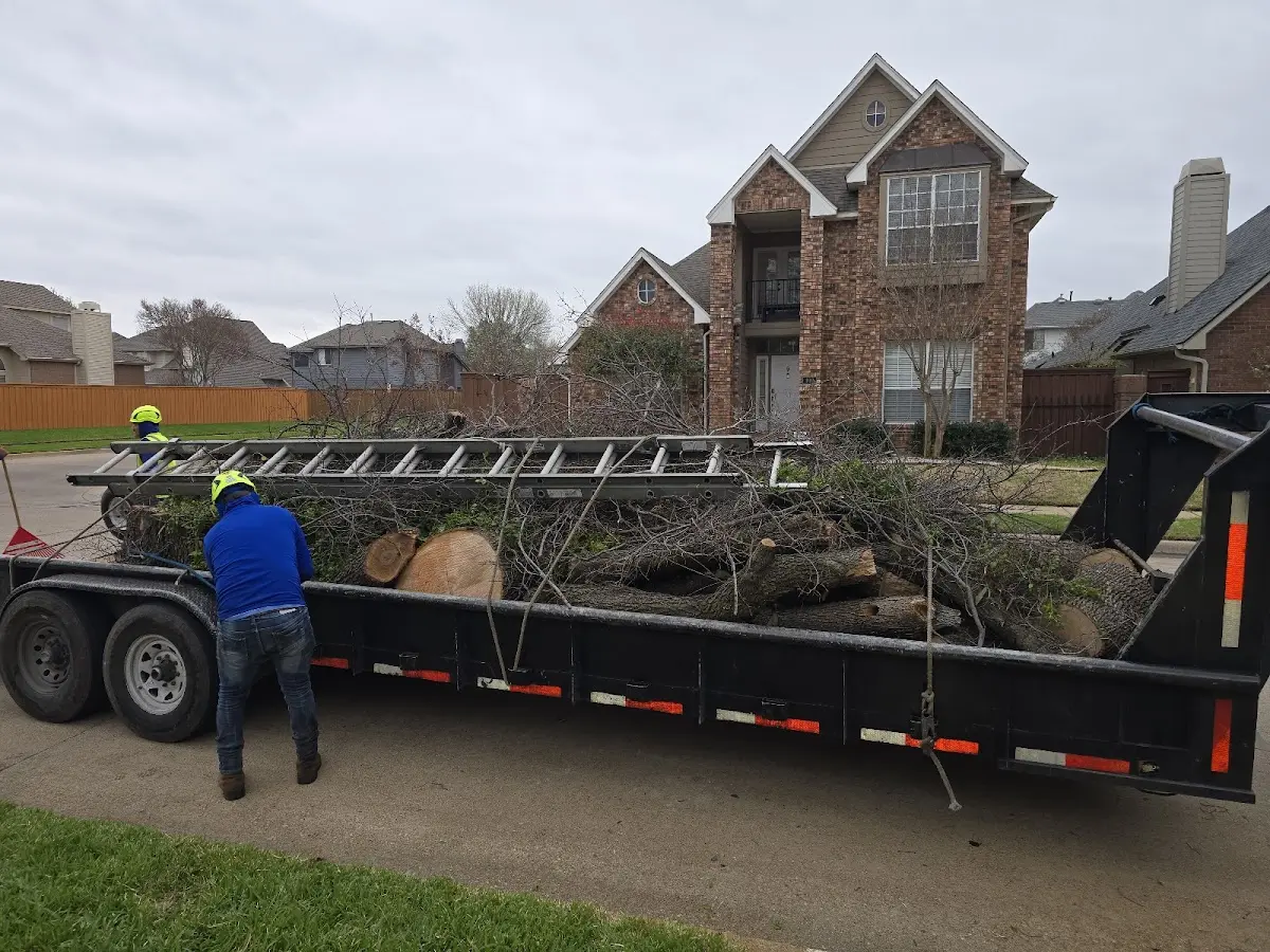 Expert Crown Reduction with proper safety equipment in Benton Harbor